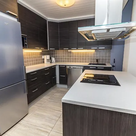 Kotomaenty 4 By Interhome Feriehus Ruka